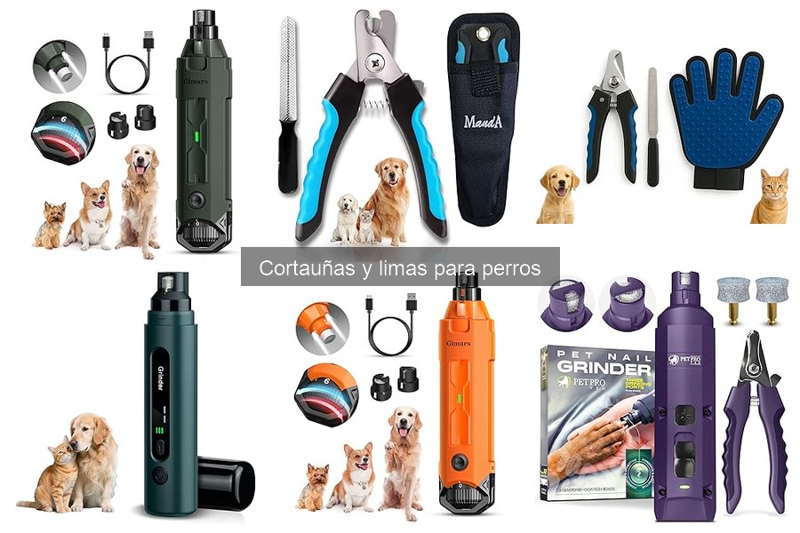 Errores al Cortar Uñas de Perros: ¡Evítalos!