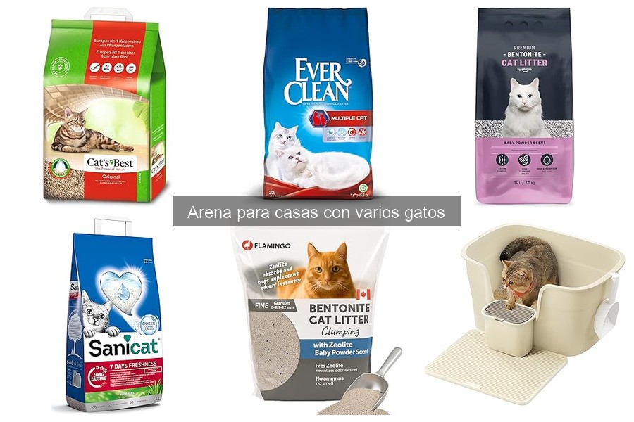 Errores al elegir arena para gatos y cómo evitarlos