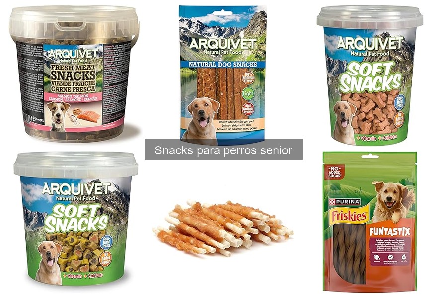 Errores al Elegir Snacks para Perros Senior: ¡Evítalos!