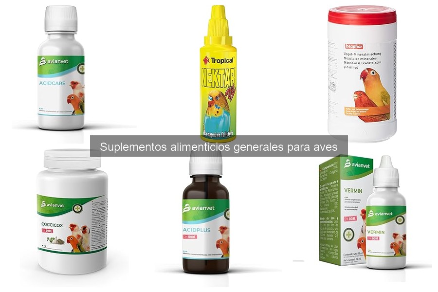 Errores comunes al administrar suplementos a aves