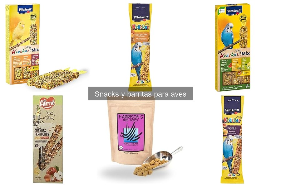 Errores comunes al alimentar aves con snacks