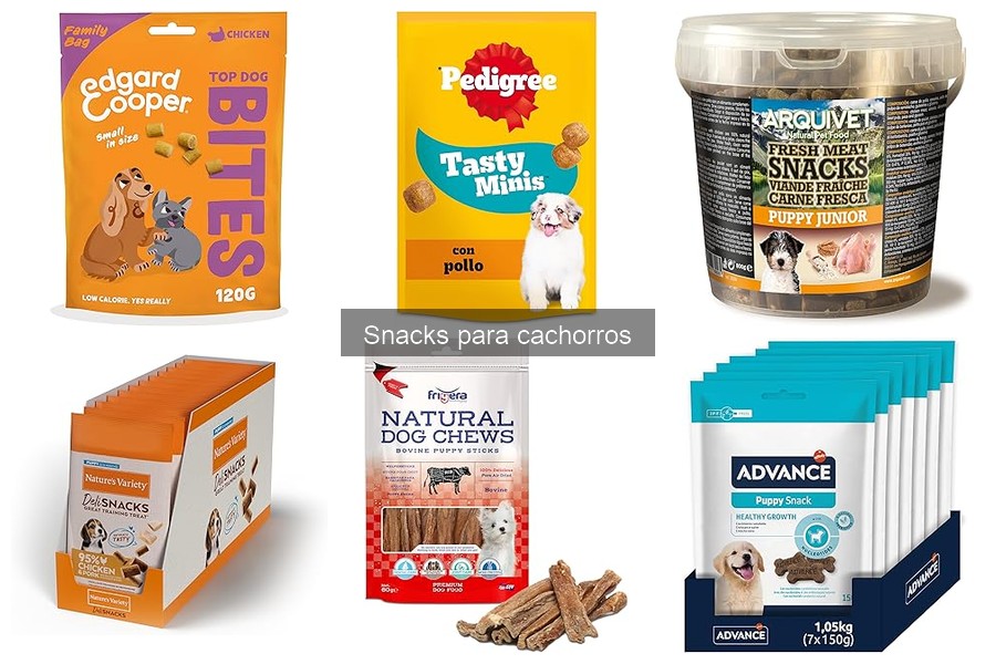 Errores comunes al dar snacks a cachorros: ¡Evítalos!