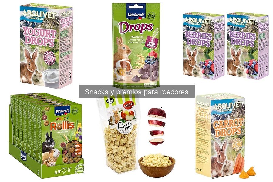 Errores comunes al dar snacks a roedores y cómo evitarlos