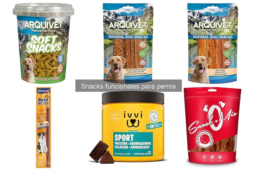 Errores comunes al dar snacks funcionales a perros