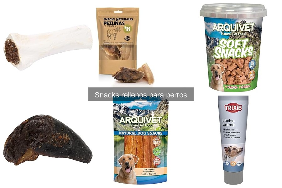 Errores comunes al dar snacks rellenos a los perros