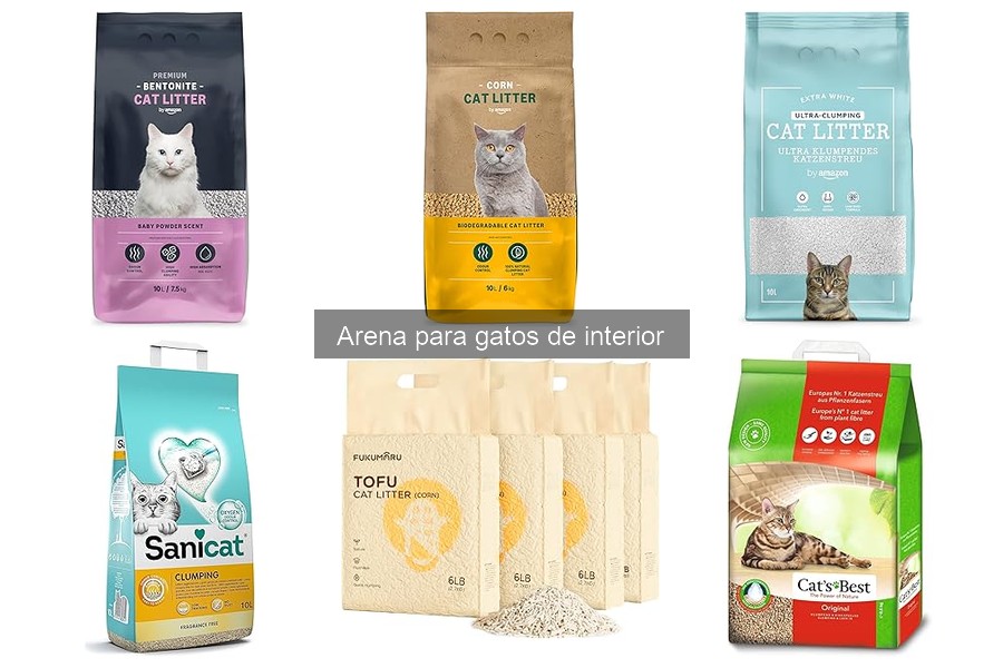 Errores comunes al elegir arena para gatos nuevos