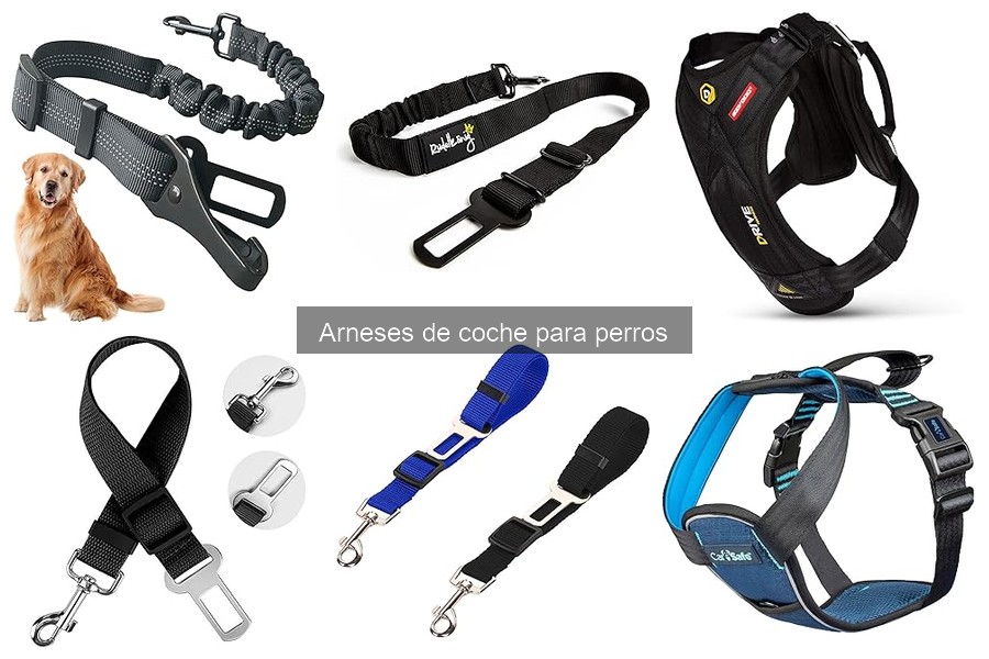 Errores comunes al elegir arneses de coche para perros