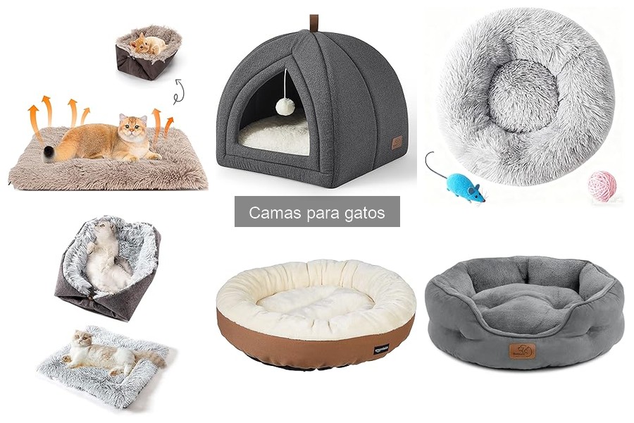 Errores comunes al elegir camas para gatos y cómo evitarlos