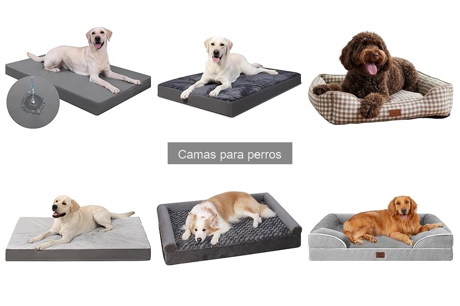 Errores comunes al elegir camas para perros y soluciones