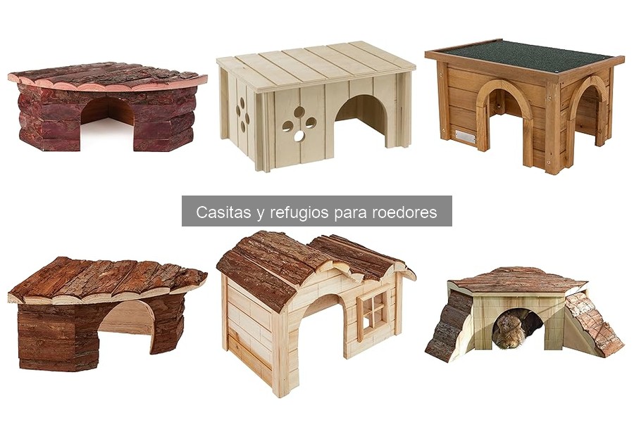 Errores comunes al elegir casitas para roedores