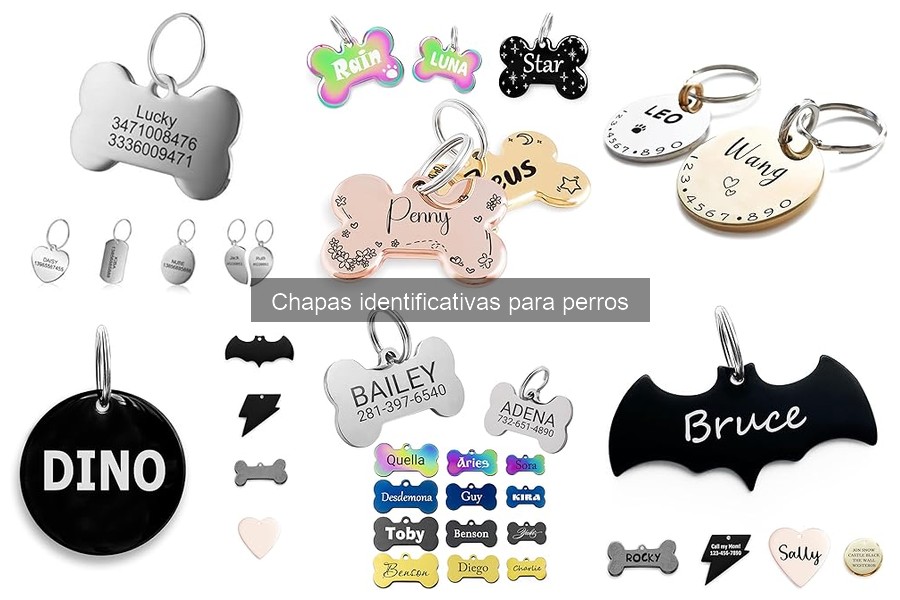 Errores comunes al elegir chapas identificativas para perros