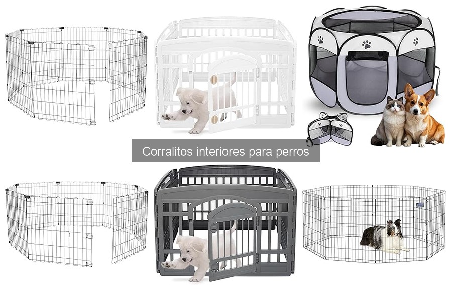 Errores comunes al elegir corralitos interiores para perros