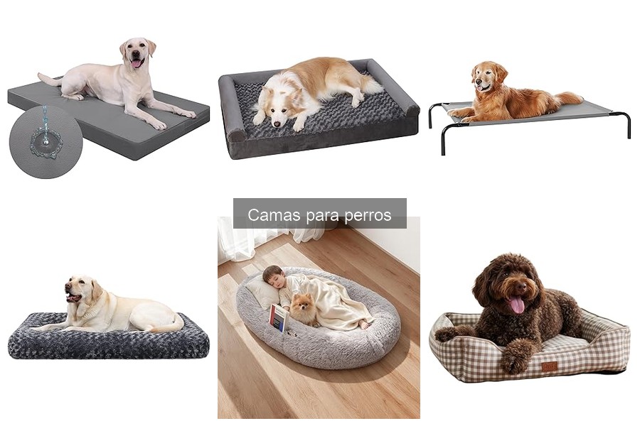 Errores comunes al elegir el material de la cama para perros