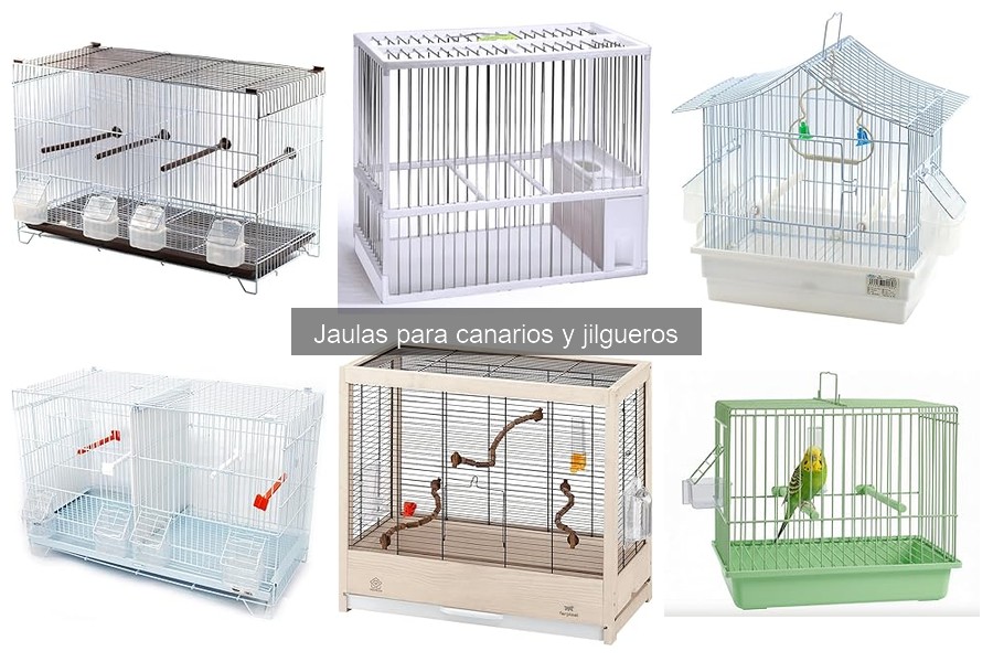 Errores comunes al elegir jaulas para canarios y jilgueros