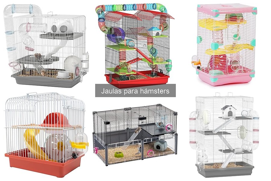 Errores comunes al elegir jaulas para hámsters