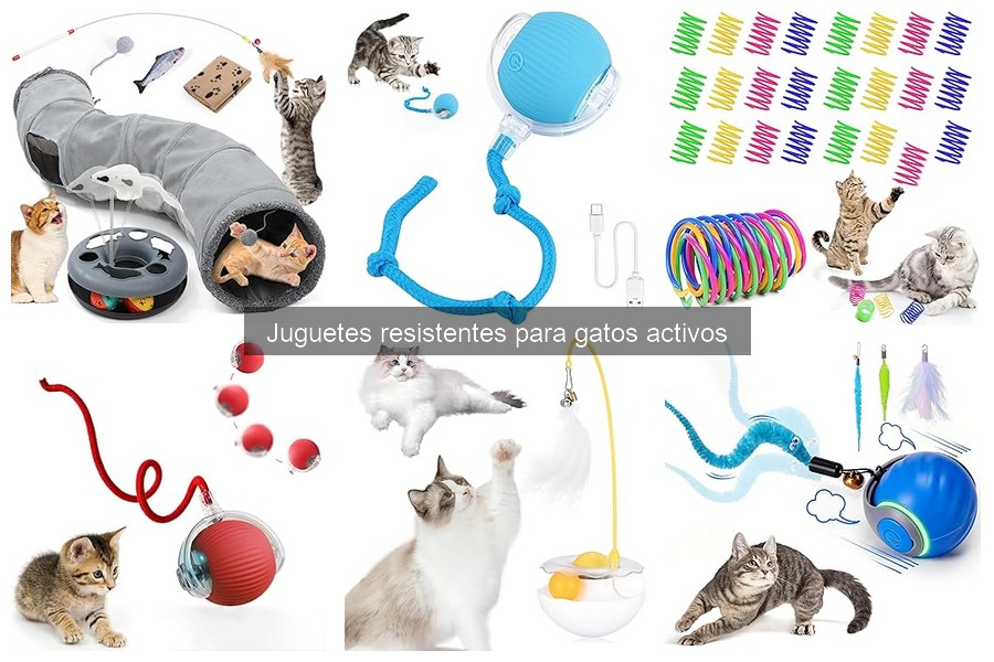 Errores comunes al elegir juguetes resistentes para gatos
