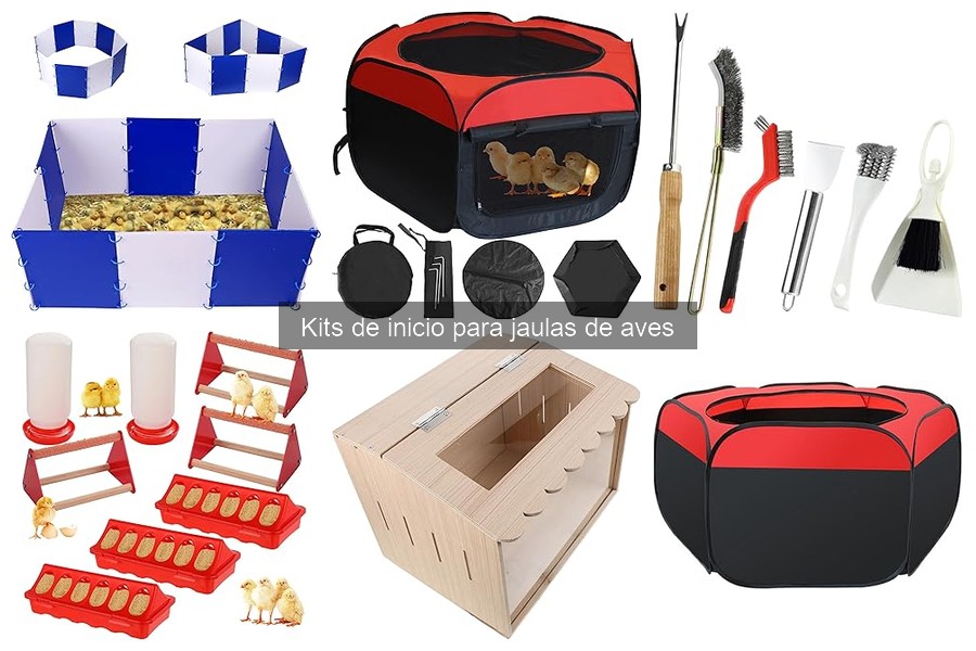 Errores comunes al elegir kits de inicio para jaulas de aves