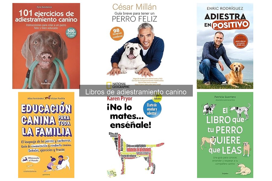 Errores comunes al elegir libros de adiestramiento canino