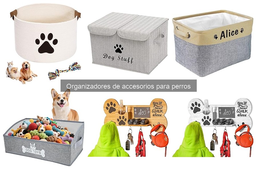 Errores comunes al elegir organizadores para perros