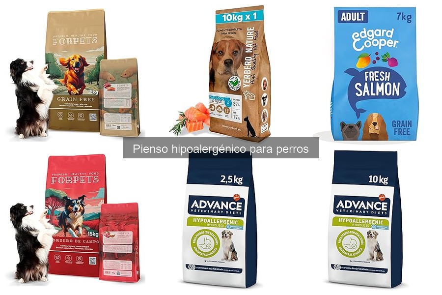 Errores comunes al elegir pienso hipoalergénico para perros