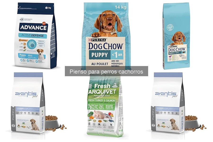 Errores comunes al elegir pienso para cachorros de perros