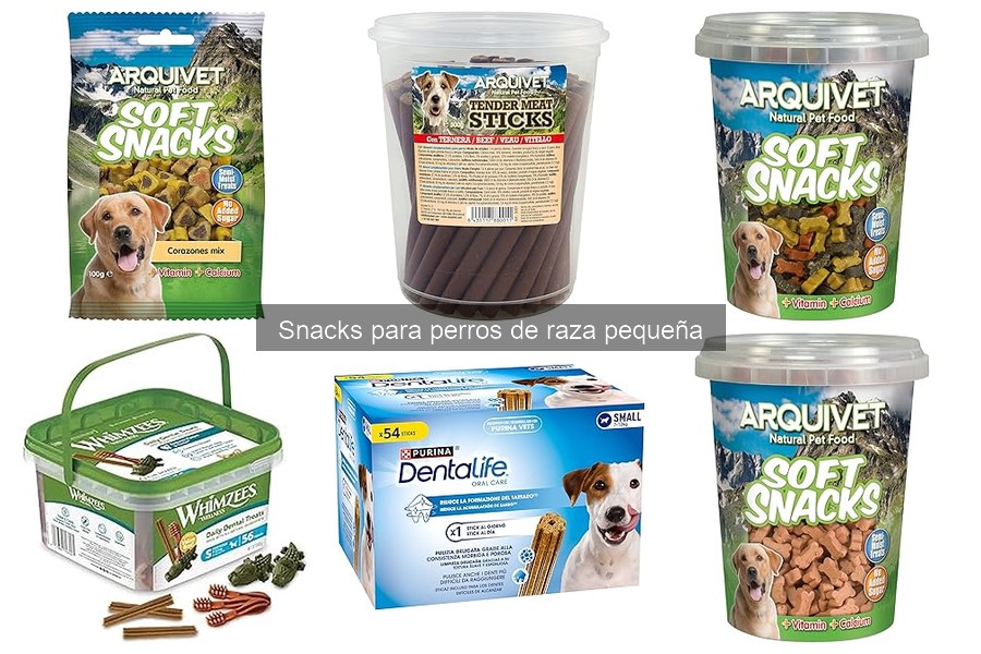Errores comunes al elegir snacks para perros de raza pequeña