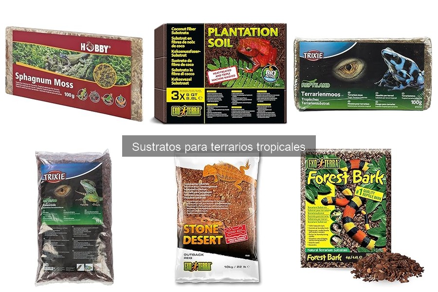 Errores comunes al elegir sustrato para terrarios tropicales