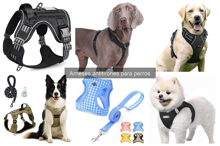 Errores comunes al elegir un arnés antitirones para perros