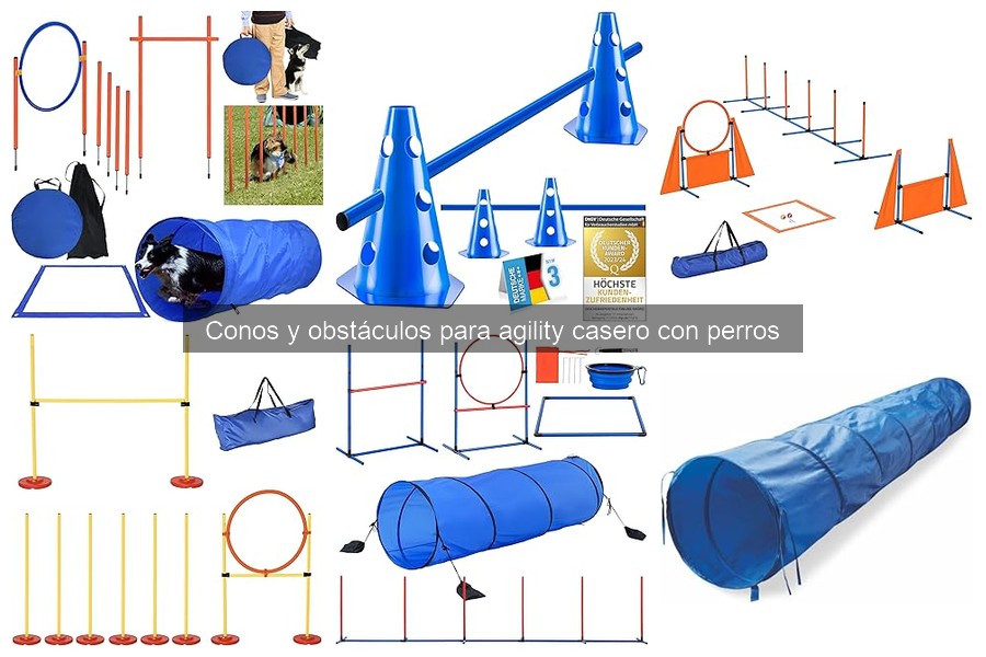 Errores comunes al iniciar con agility en casa para perros