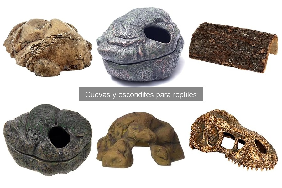 Errores comunes al instalar cuevas para reptiles