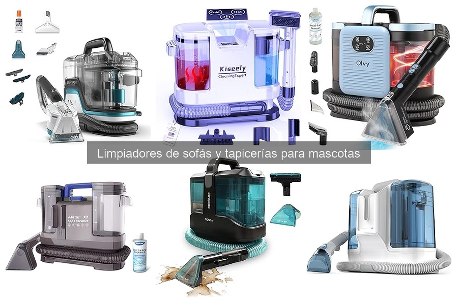 Errores comunes al limpiar sofás con productos para mascotas