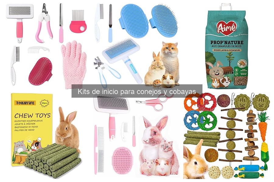 Errores comunes al montar kits de inicio para conejos y cobayas