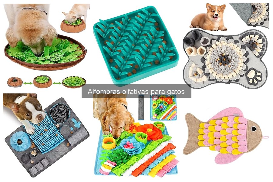 Errores comunes al usar alfombras olfativas para gatos