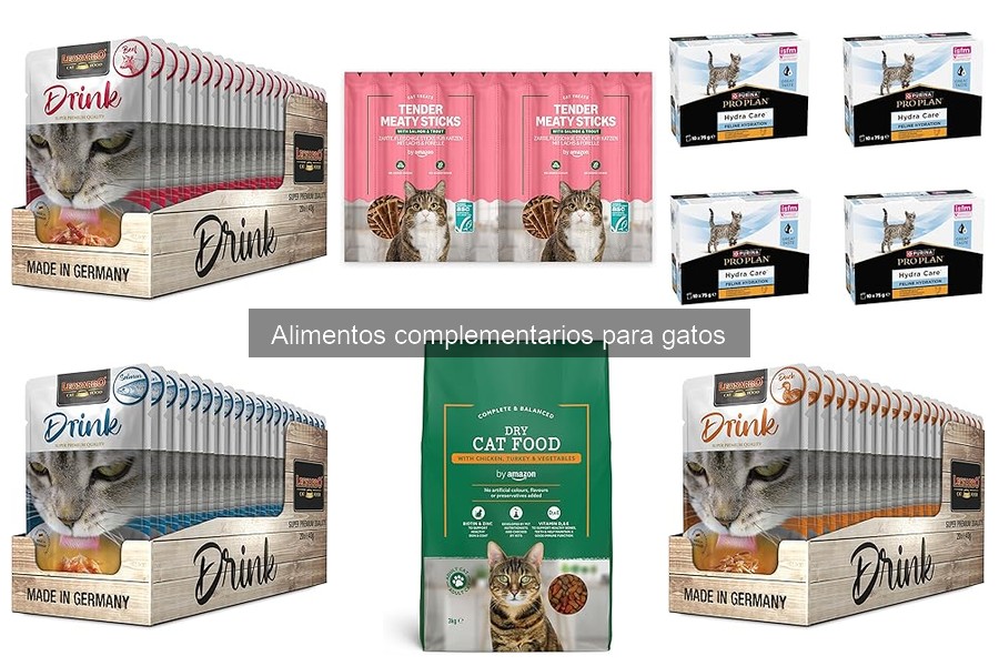Errores comunes al usar alimentos complementarios para gatos