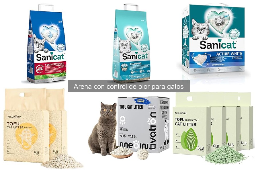 Errores comunes al usar arena con control de olor para gatos