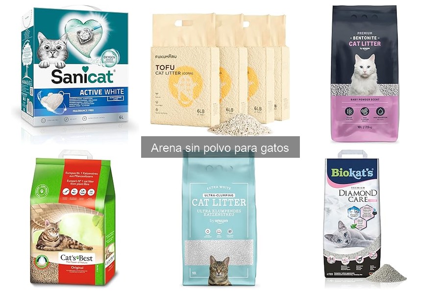 Errores comunes al usar arena sin polvo para gatos