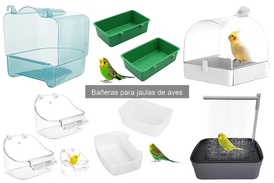 Errores comunes al usar bañeras para aves y cómo evitarlos