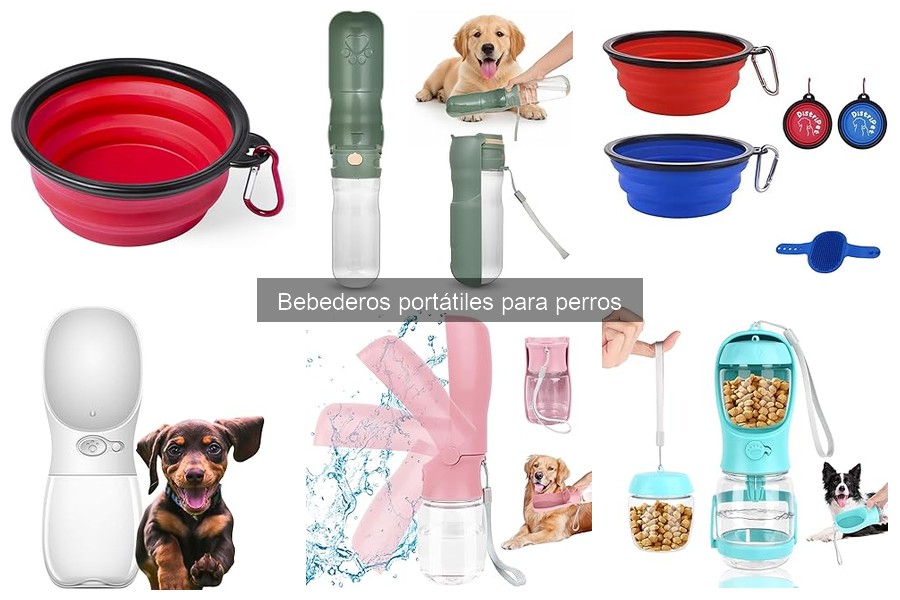 Errores comunes al usar bebederos portátiles para perros
