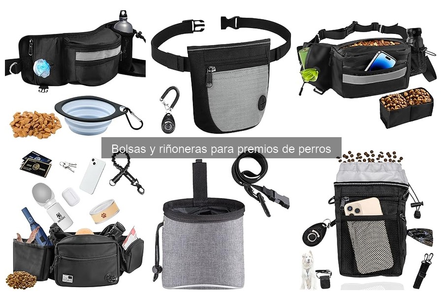 Errores comunes al usar bolsas y riñoneras para perros