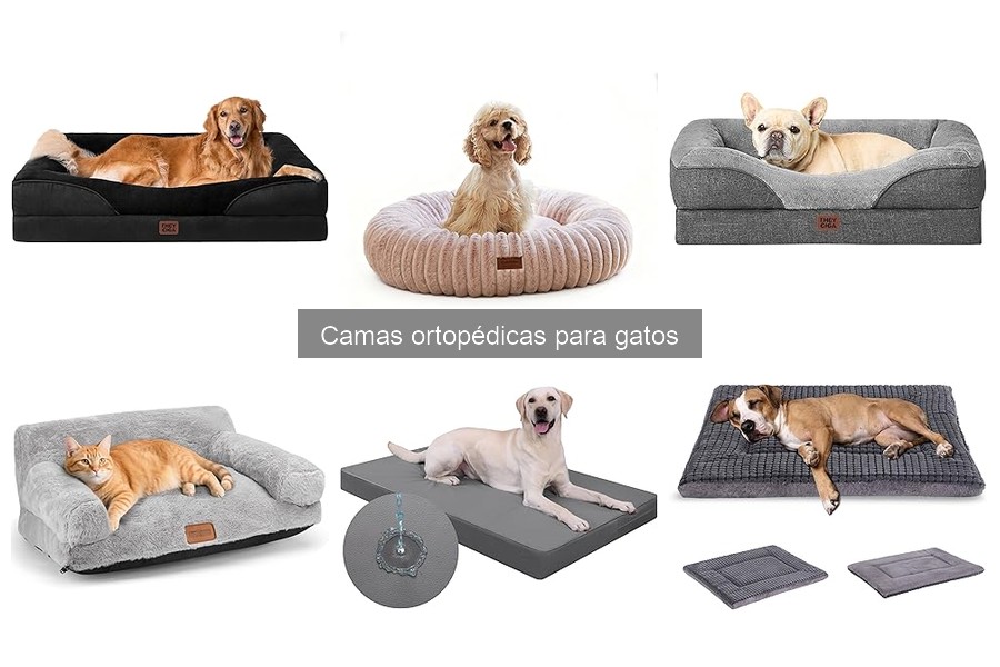 Errores comunes al usar camas ortopédicas para gatos