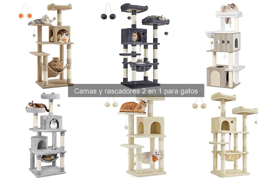 Errores comunes al usar camas y rascadores 2 en 1 para gatos