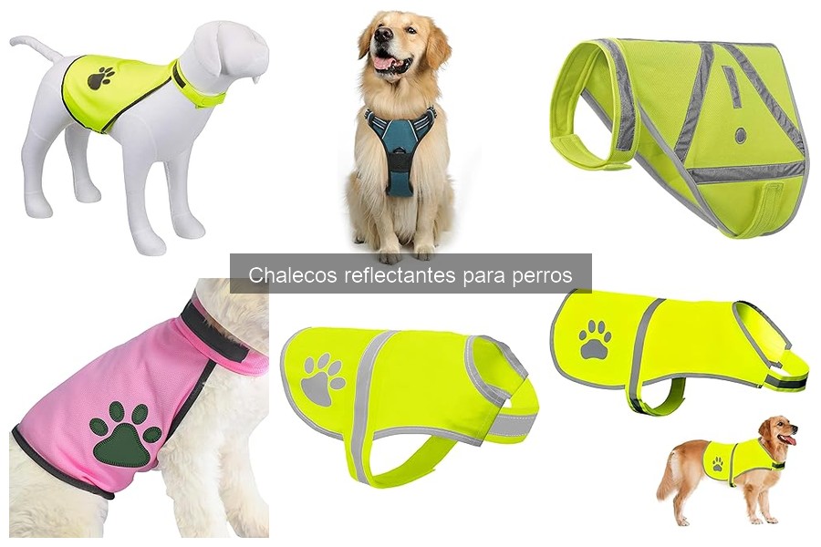 Errores comunes al usar chalecos reflectantes para perros