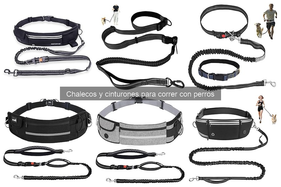 Errores comunes al usar chalecos y cinturones para correr con perros