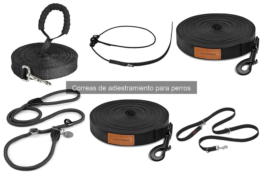 Errores comunes al usar correas de adiestramiento para perros