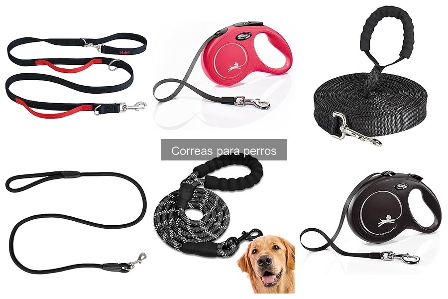 Errores comunes al usar correas para perros y cómo evitarlos