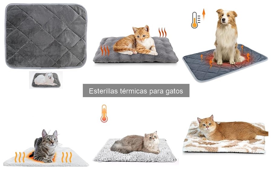 Errores comunes al usar esterillas térmicas para gatos