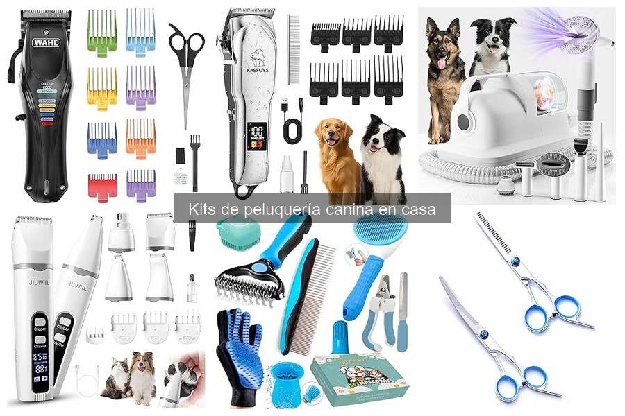 Errores comunes al usar kits de peluquería canina en casa