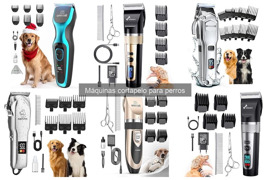Errores comunes al usar máquinas cortapelo para perros