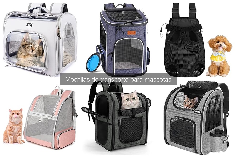Errores comunes al usar mochilas de transporte para mascotas