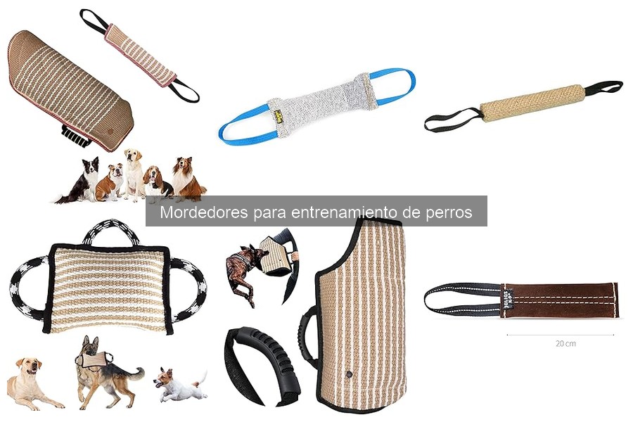 Errores comunes al usar mordedores para entrenar perros